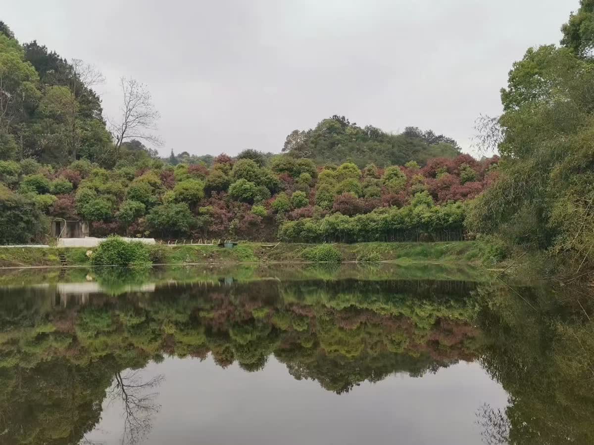 种植基地