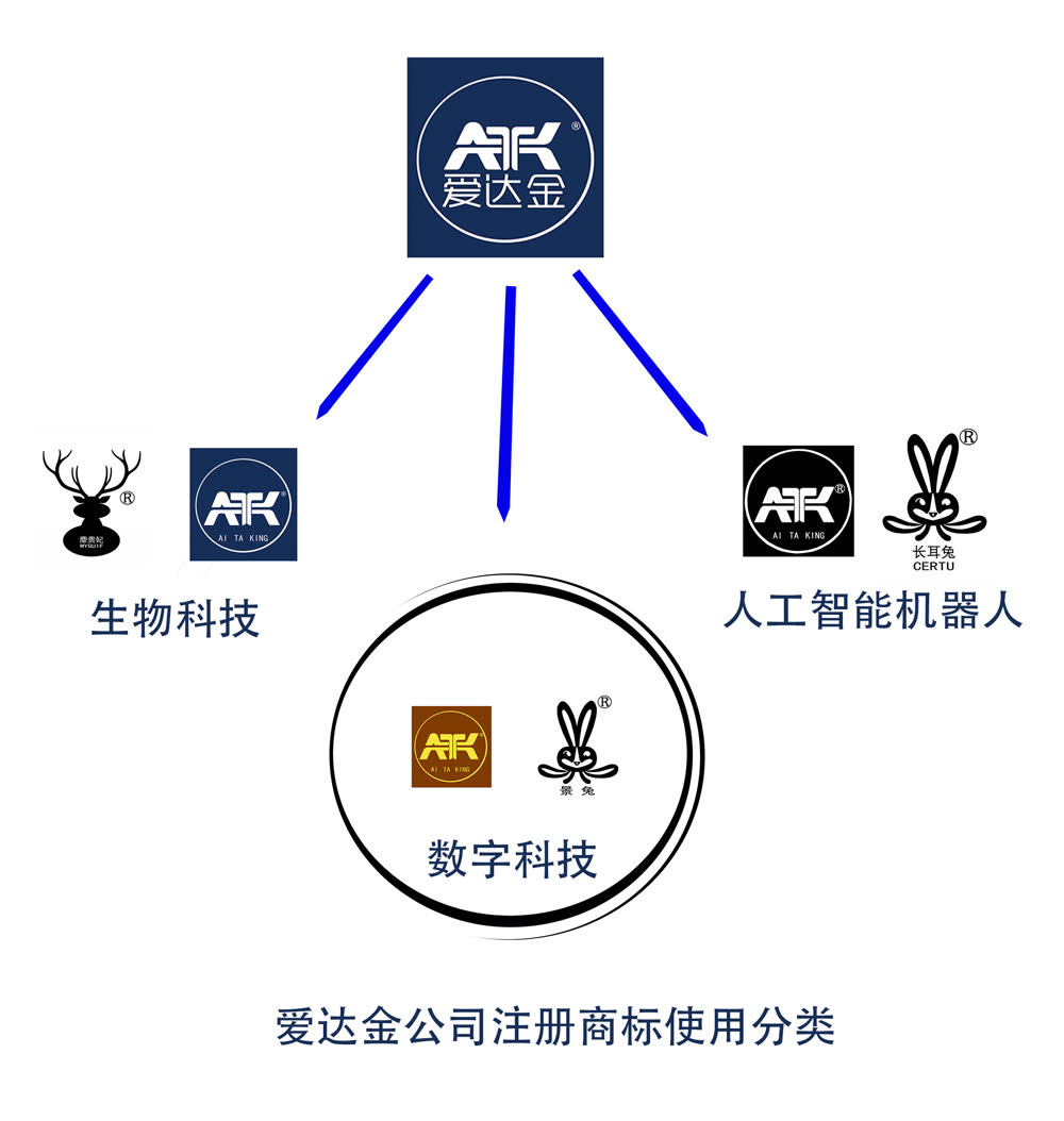 爱达金公司商标使用分类规划图